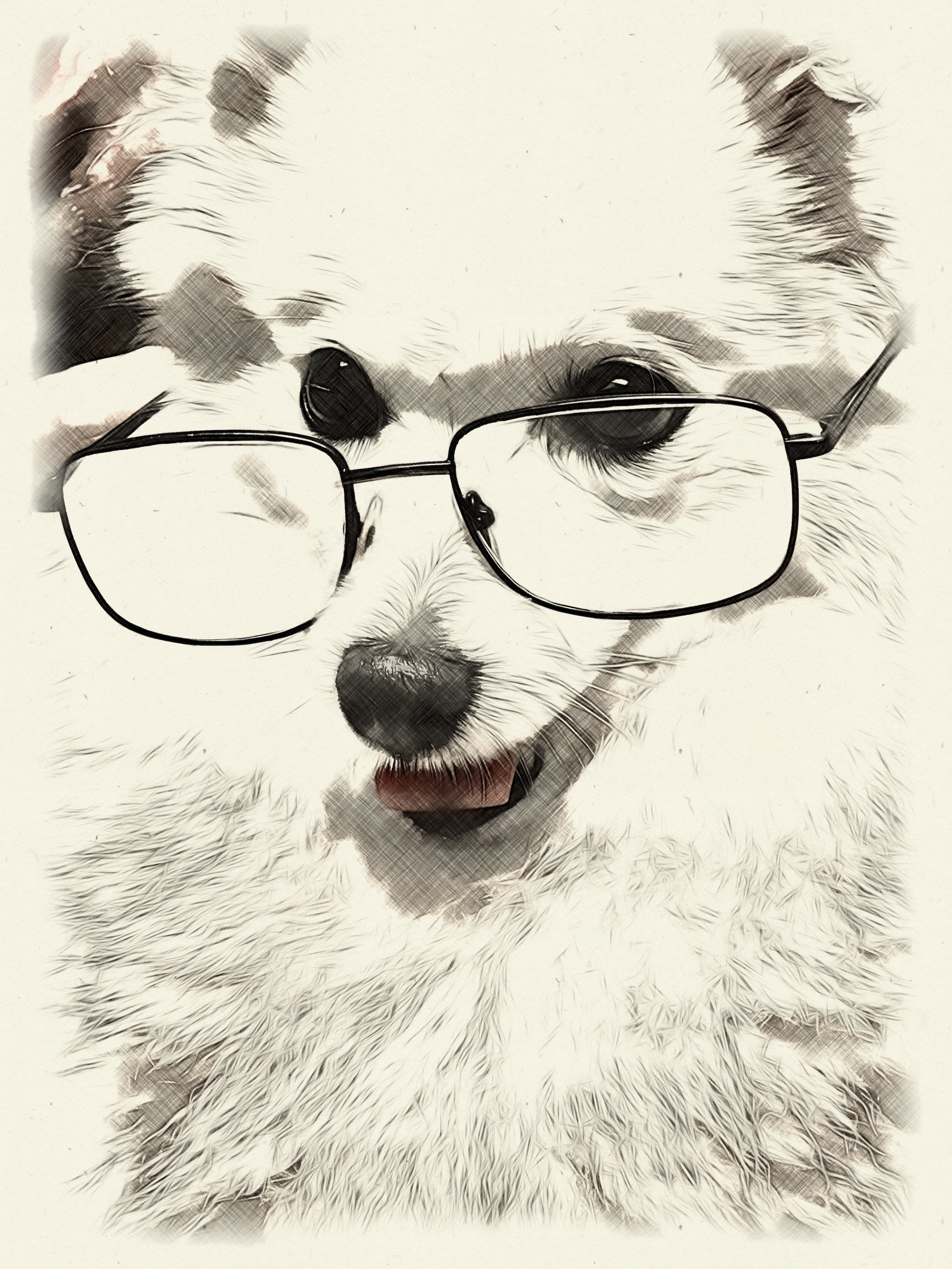 Blind but Brave: Kitchen Queen (part II)