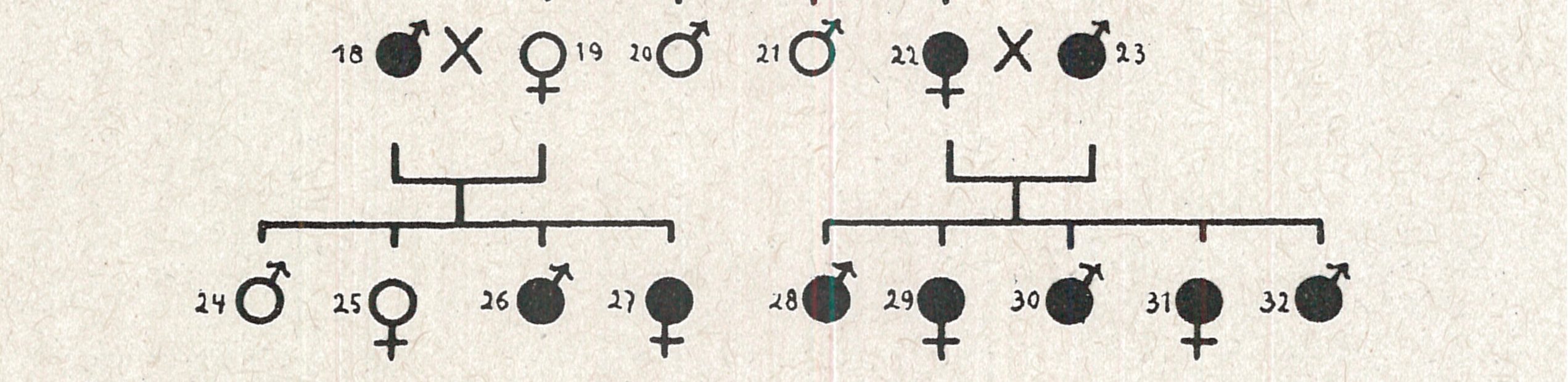 Blind but Brave: PRA-rcd4 (part III).