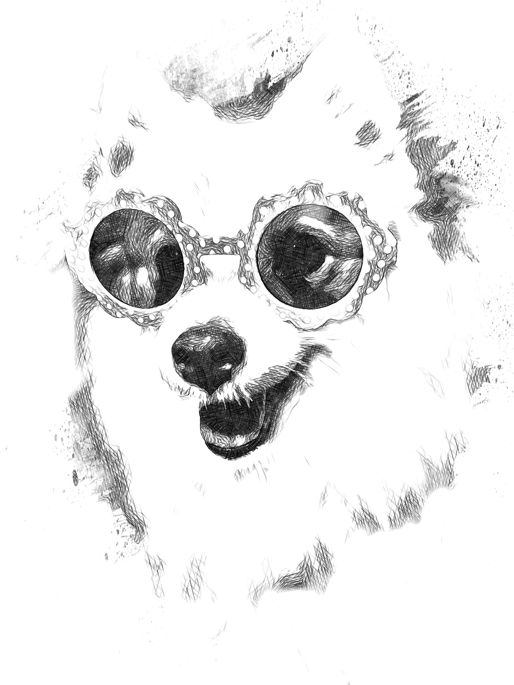 Blindness in older Japanese Spitz: Why Proof Matters and How We Move Forward