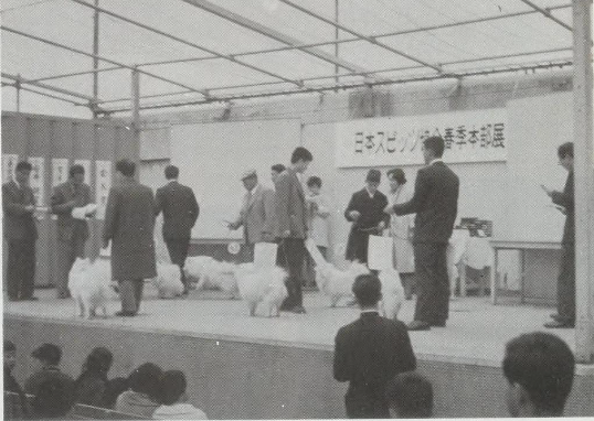 Pedigrees and Life Mechanics: The Intimate Art of Dog Breeding