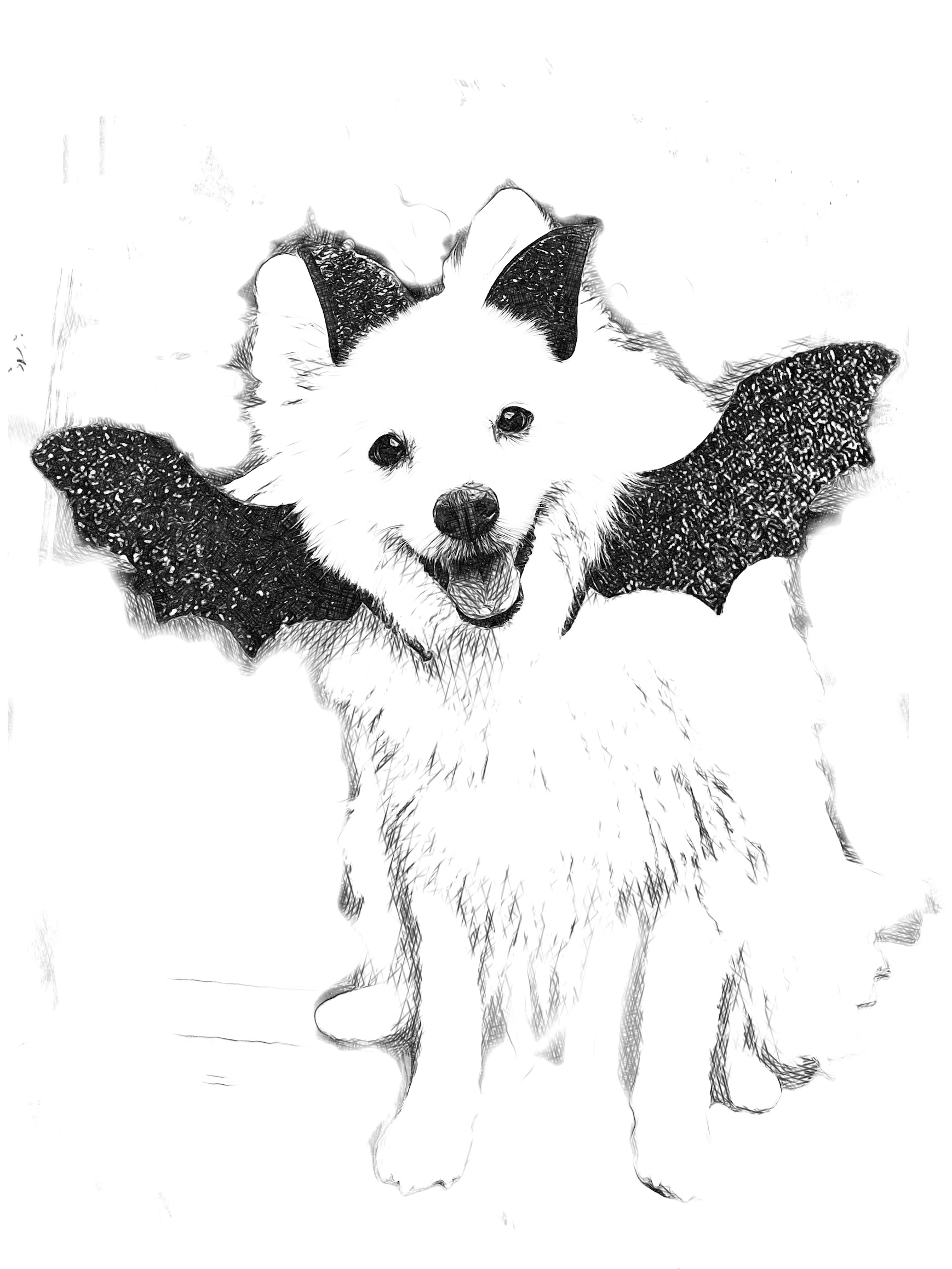 PRA-rcd4 Update for Contributors – 1 November 2025