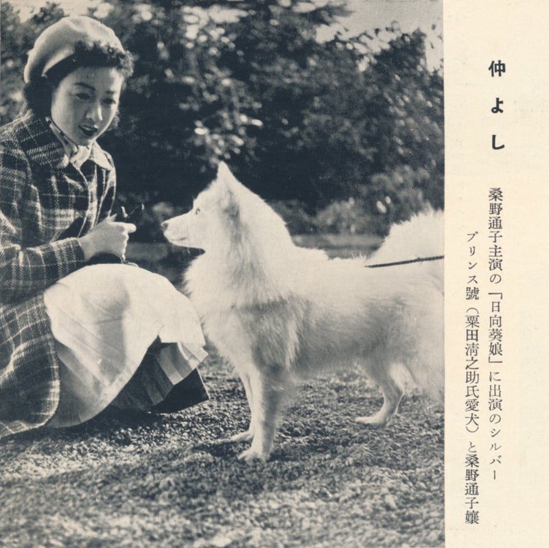 When two kanji unlock a forgotten Spitz named Silver Prince from 1939