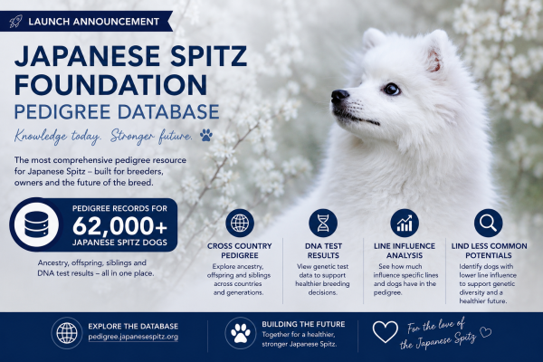 62,000 Japanese Spitz pedigrees, 530 PRA-rcd4 results, and plenty still to find